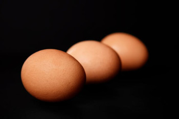 Boiled Eggs
