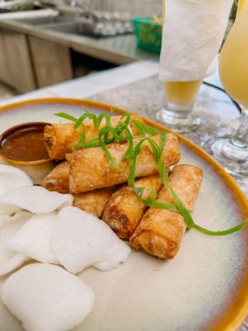 Spring roll